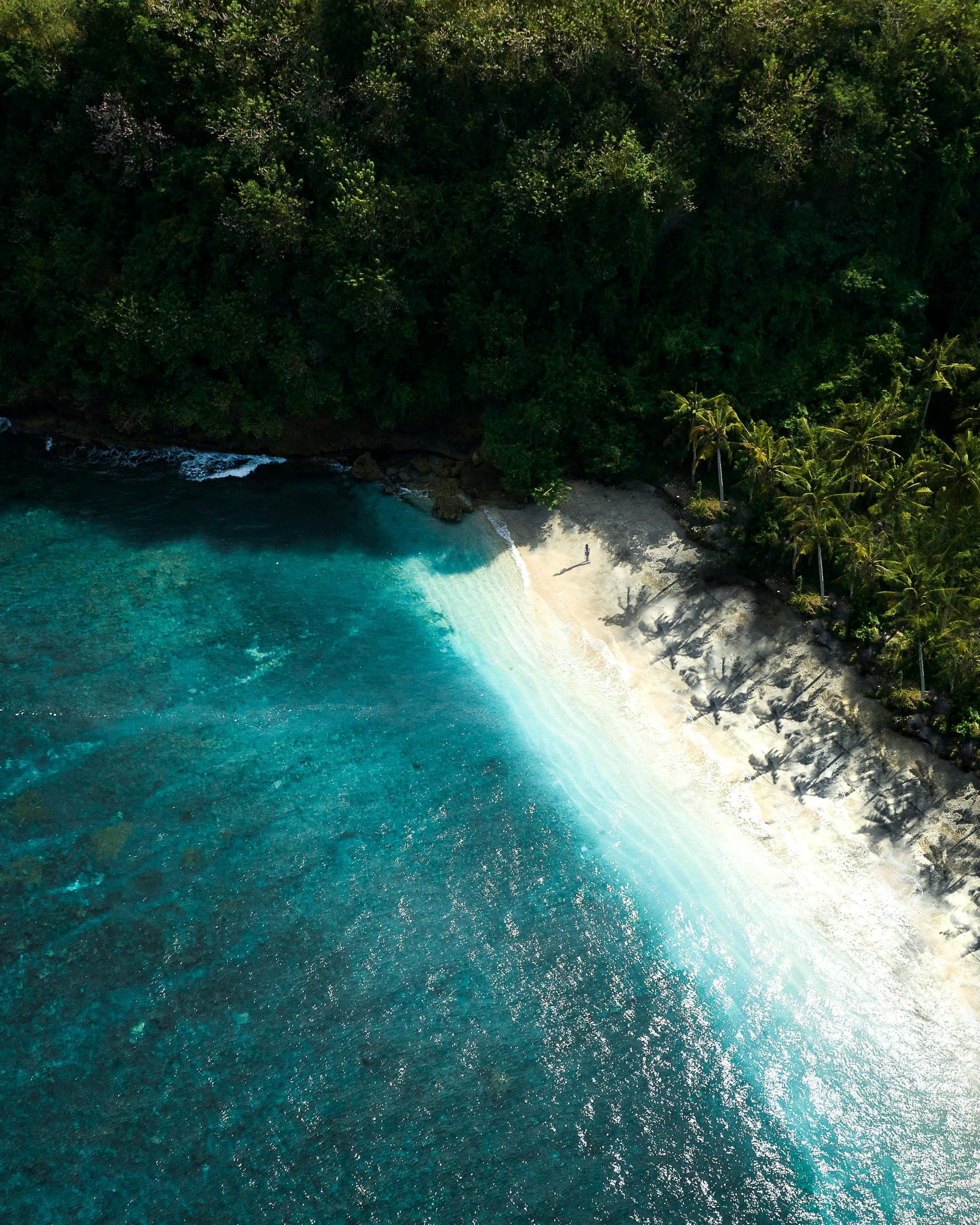 Aerial photograph of a pristine tropical beach in Indonesia with turquoise water, sandy shore and dense tropical vegetation