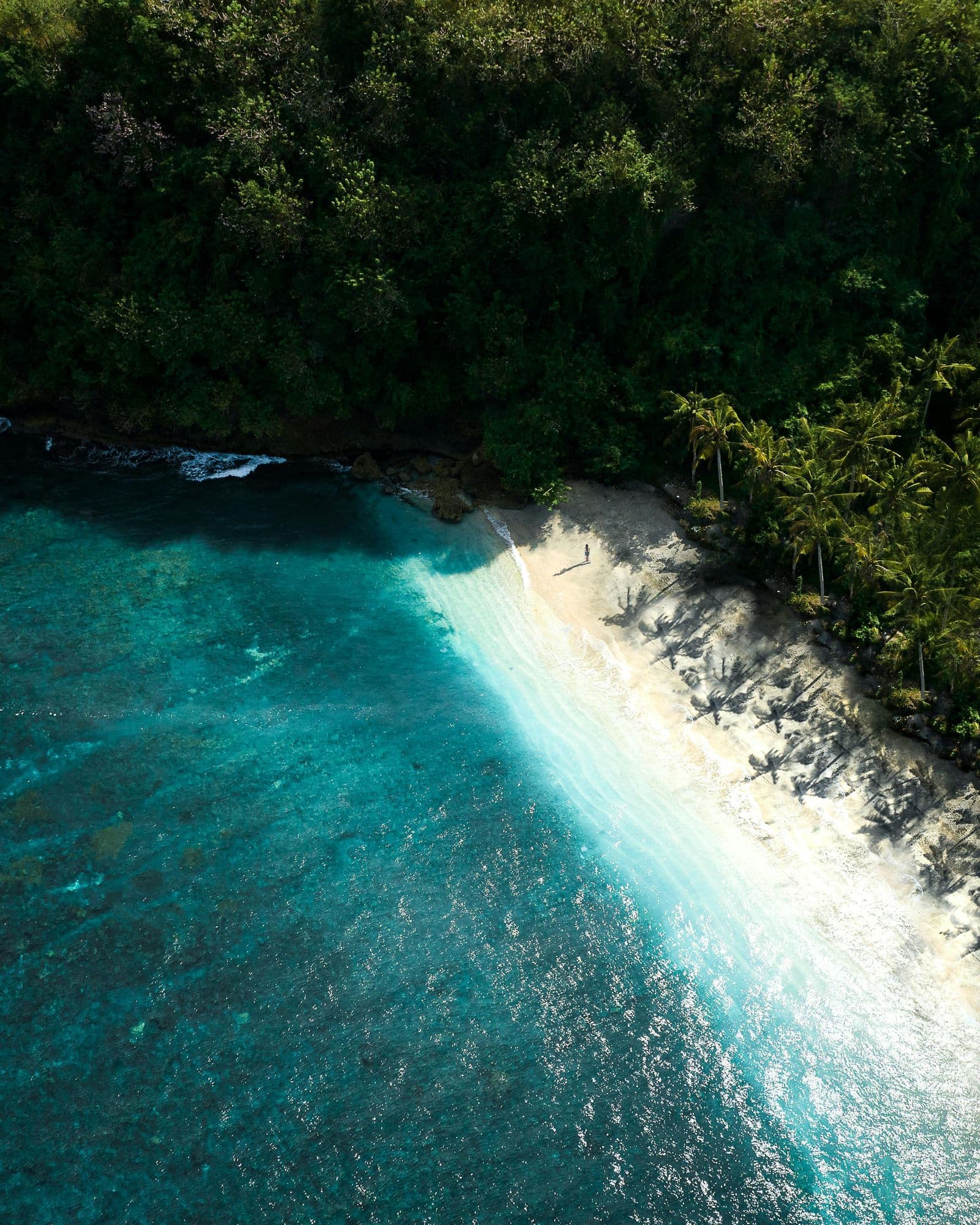 Aerial photograph of a pristine tropical beach in Indonesia with turquoise water, sandy shore and dense tropical vegetation